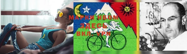 apvp Алексин