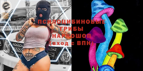 apvp Алексин