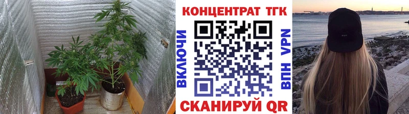 ТГК THC oil купить наркоту Ачинск