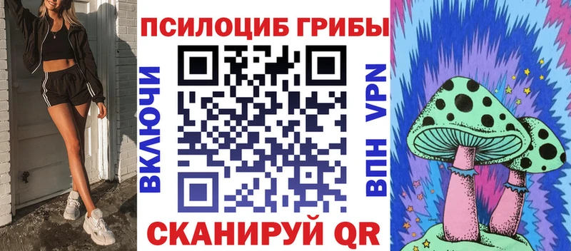 Псилоцибиновые грибы Cubensis  KRAKEN ССЫЛКА  Ачинск  где найти  